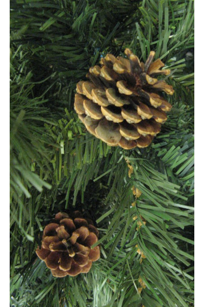 Ель Royal Christmas Detroit с шишками 527120 (120 см)