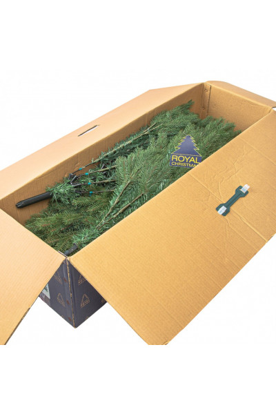 Ель Royal Christmas Georgia 290150 (150 см)
