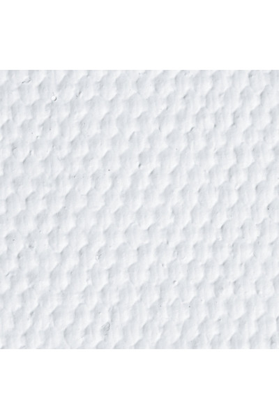 Холст грунтованный в рулоне Brauberg Art Classic 2,1x10 м, 380 г/м2, хлопок, среднее зерно 191033 Холст грунтованный в рулоне Brauberg Art Classic 2,1x10 м, 380 г/м2, хлопок, среднее зерно 191033