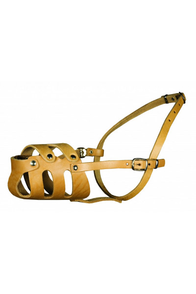 Намордник кожаный цельнокроеный для пуделя