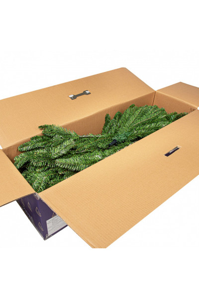 Ель Royal Christmas Washington 230240 (240 см) Ель Royal Christmas Washington 230240 (240 см)