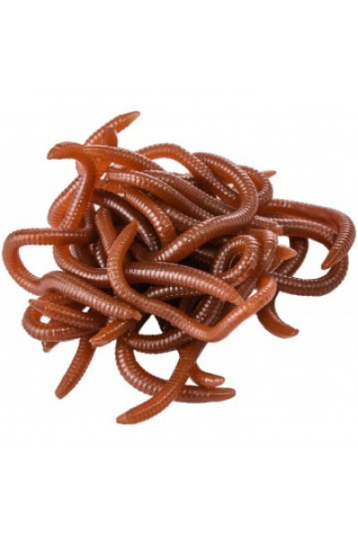 Насадка искусственная съедобная Helios Червь (Earthworm) 40г HS-NCH-E Насадка искусственная съедобная Helios Червь (Earthworm) 40г HS-NCH-E