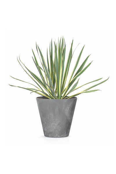 Кашпо для цветов Tubus Beton DTUB400E-422U (28,5 л) Кашпо для цветов Tubus Beton DTUB400E-422U (28,5 л)