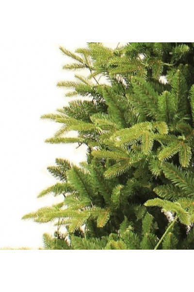 Ель Royal Christmas Idaho 294180 (180 см)