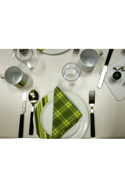 Набор для пикника TWPB-3134A1