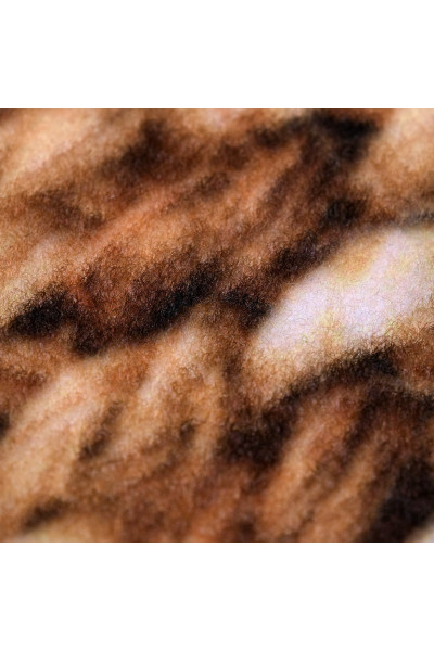 Коврик влаговпитывающий Vortex Samba Плетение 90х120 см 24163 Коврик влаговпитывающий Vortex Samba Плетение 90х120 см 24163