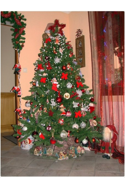 Ель Royal Christmas Washington 230180 (180 см)