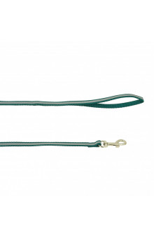 Поводок светоотражающий нейлоновый Каскад 2 см, длина 1,8 м, зеленый