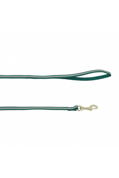 Поводок светоотражающий нейлоновый Каскад 2 см, длина 1,8 м, зеленый