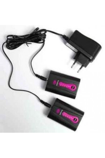 Комплект литиевых аккумуляторов и зарядного устройства CP951