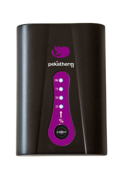 Комплект литиевых аккумуляторов и зарядного устройства CP951