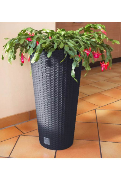 Кашпо для цветов Rato Tubus DRTUS300-440U (15/27 л) 2 предмета Кашпо для цветов Rato Tubus DRTUS300-440U (15/27 л) 2 предмета