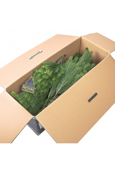 Ель Royal Christmas Ontario Tree 960210 (210 см)