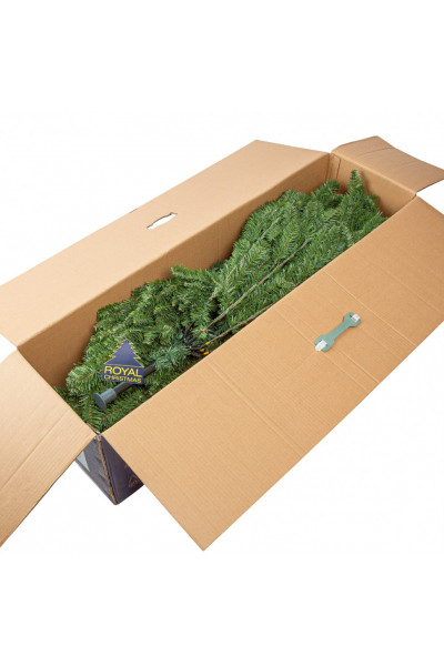 Ель Royal Christmas Washington Promo 98120 (120 см) Ель Royal Christmas Washington Promo 98120 (120 см)